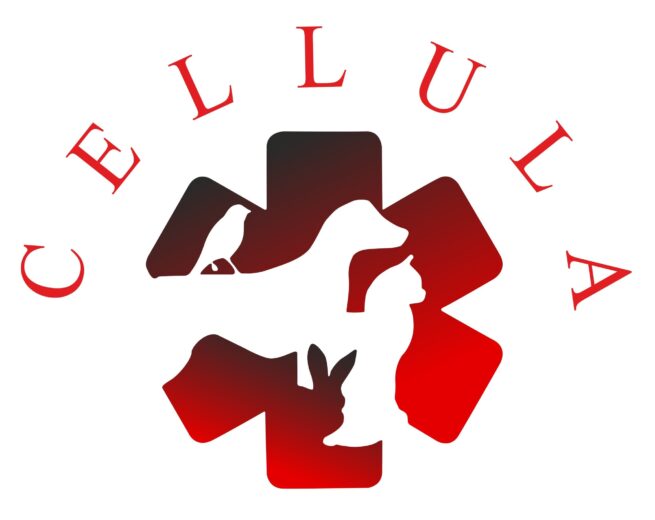 CellulaVet.hr